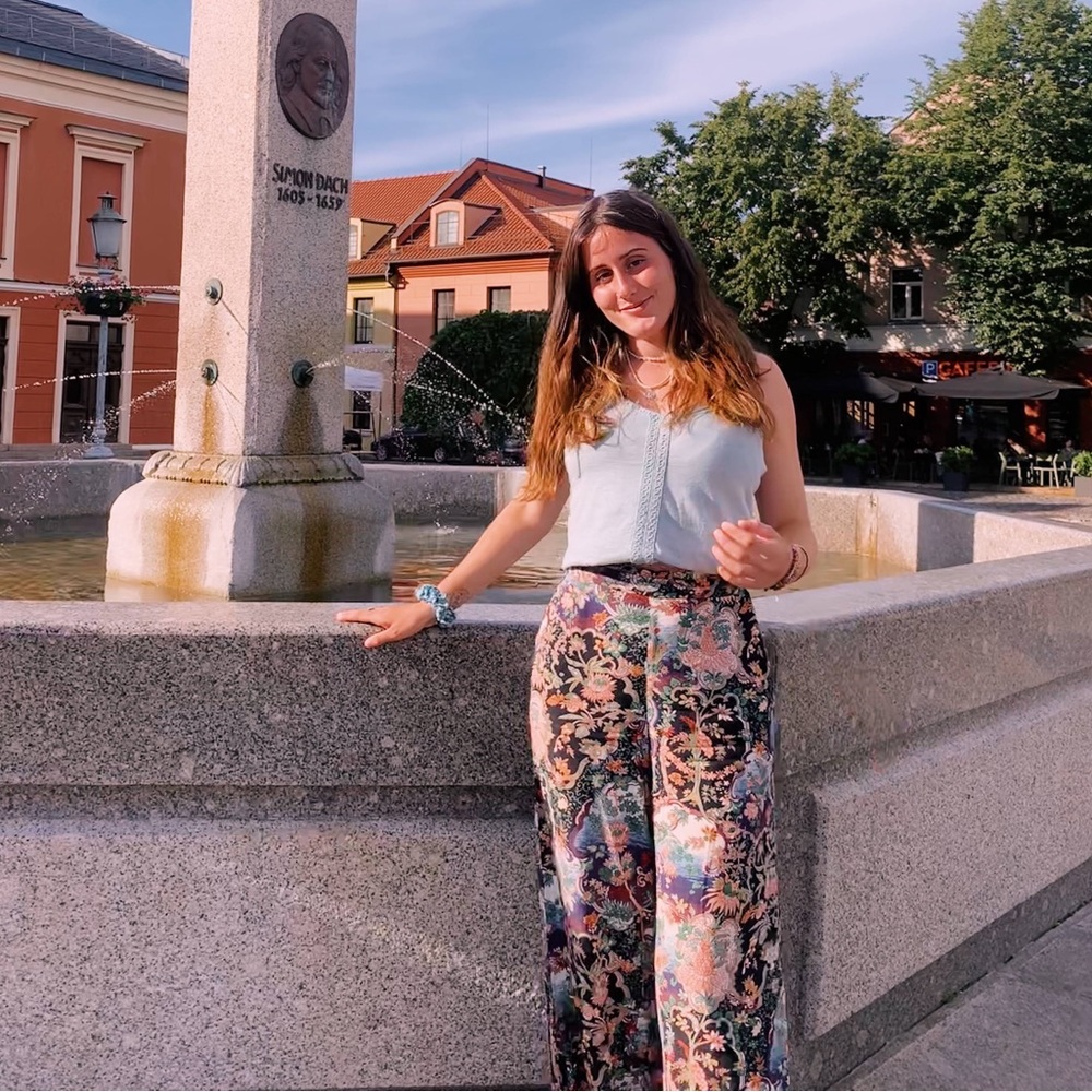 Zara pattern pants